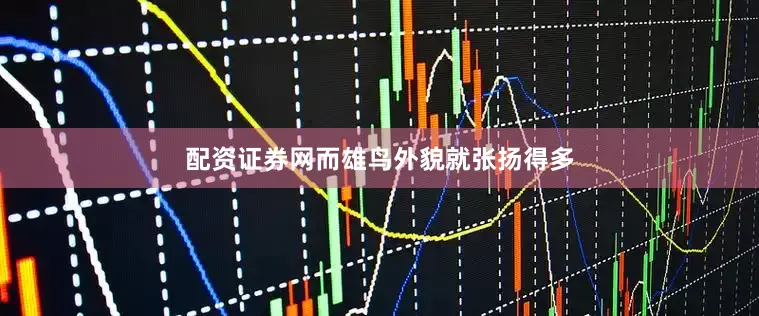 配资证券网而雄鸟外貌就张扬得多